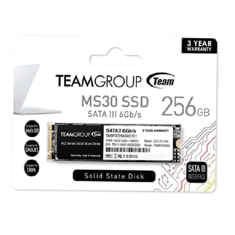 TEAMGROUP SSD NVME M.2 256 G