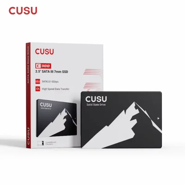 SSD CUSU 256 Go 2.5 pouces